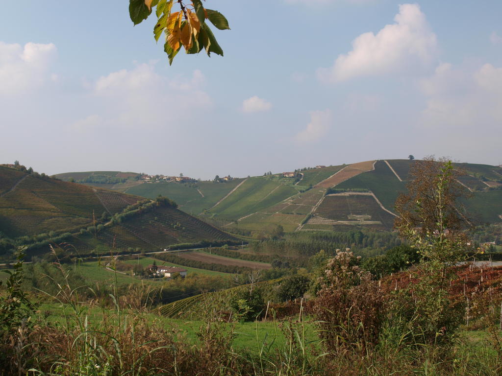La Terrazza Del Barbaresco Bed and Breakfast Neviglie Eksteriør billede